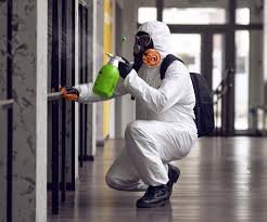 Best Environmental Consulting for Mold Prevention  in Kerman, CA